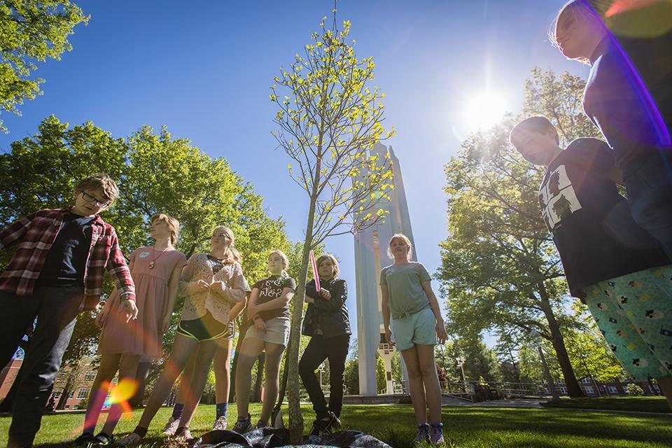 New signs enhancing Missouri Arboretum tree walk with history, videos